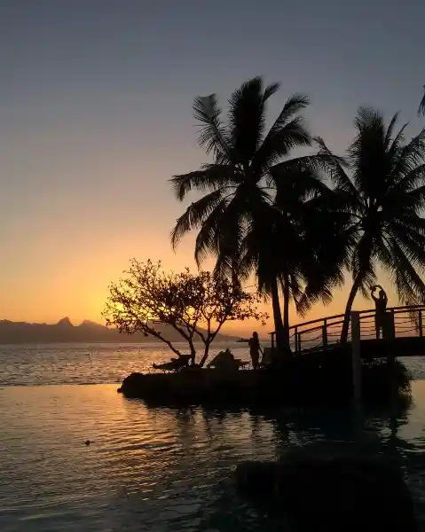 E challan Andaman and Nicobar