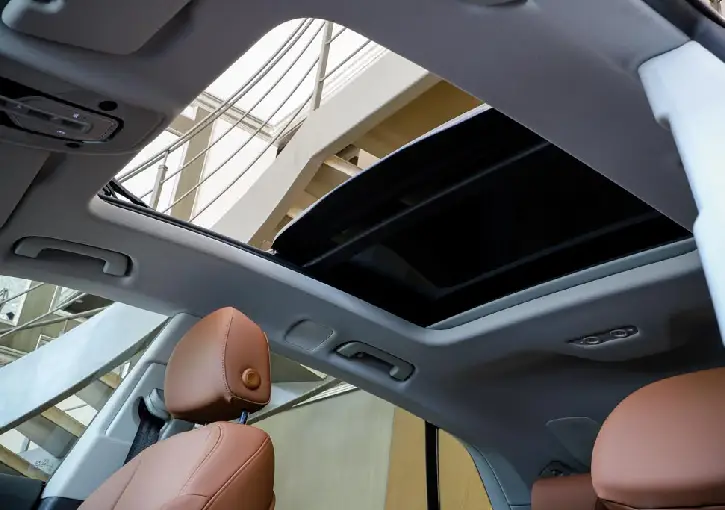 New Project (3).webp