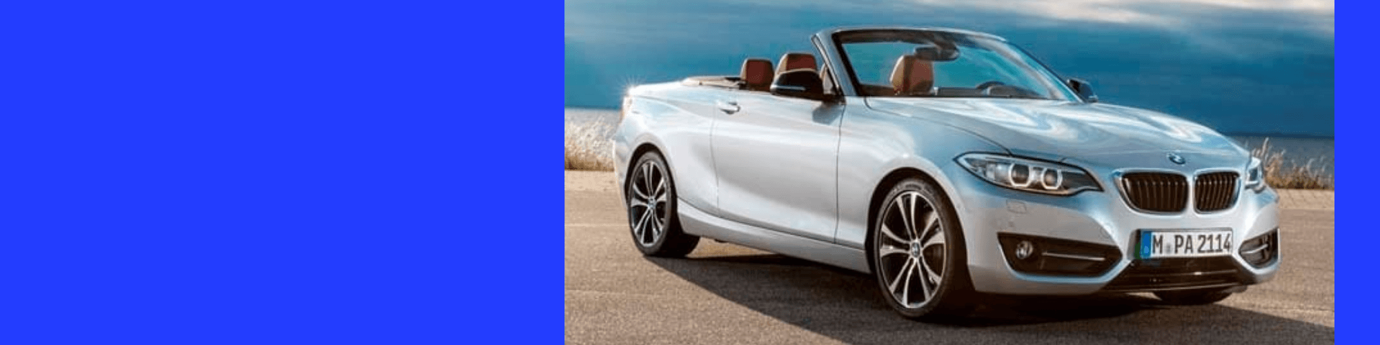 Untitled design (43).png