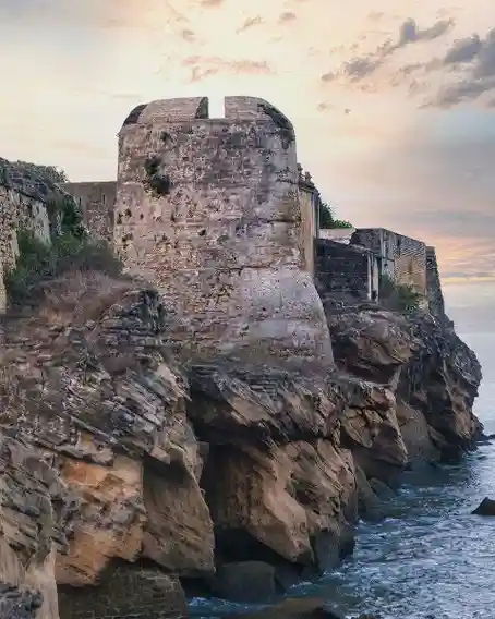 E challan Daman and Diu